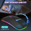 Mouse inalámbrico recargable BT/2,4GHz RGB ergonómico silencioso
