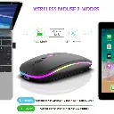 Mouse inalámbrico recargable BT/2,4GHz RGB ergonómico silencioso