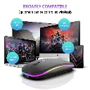 Mouse inalámbrico recargable BT/2,4GHz RGB ergonómico silencioso