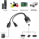 Cable OTG Tipo "Y" Micro USB FireTV Fire Stick,